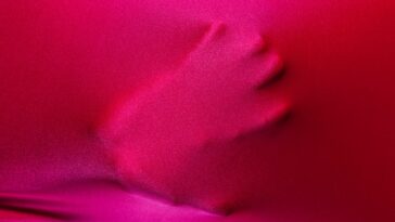 BDSM-diserel4