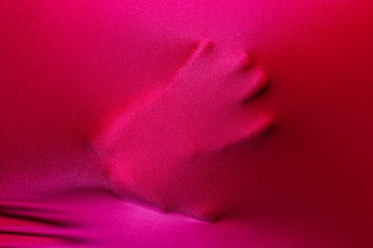 BDSM-diserel4